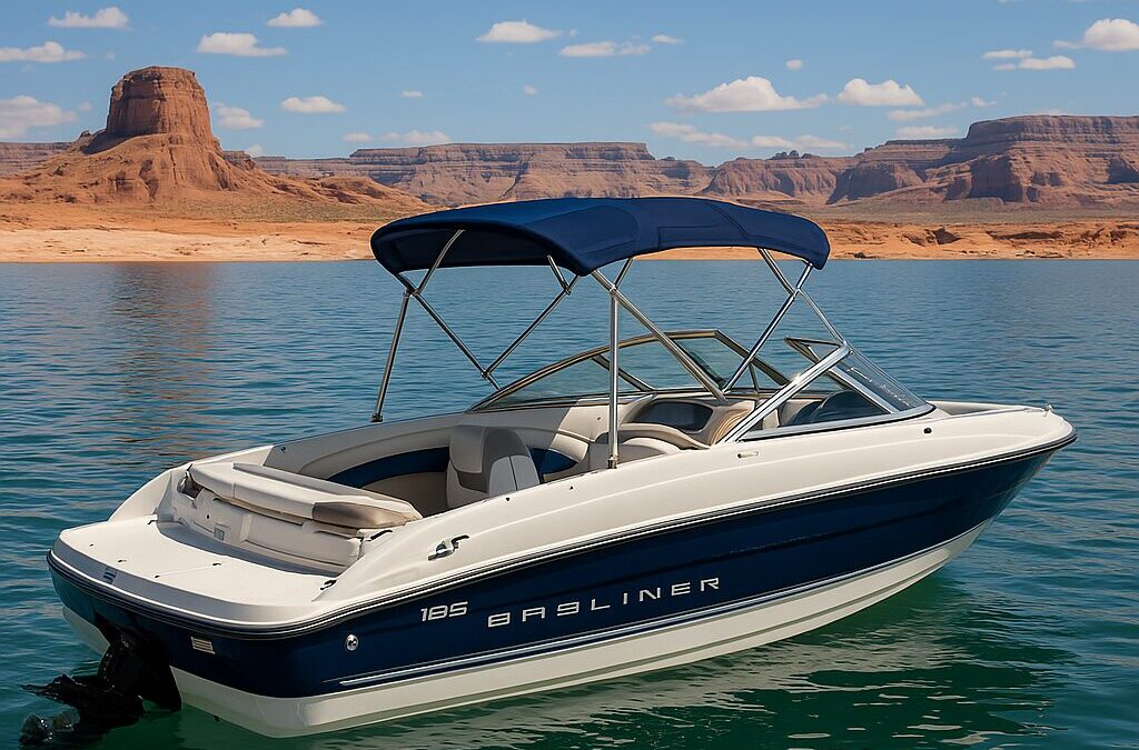Bayliner 185 Boat Rental | Seats 8 or 9