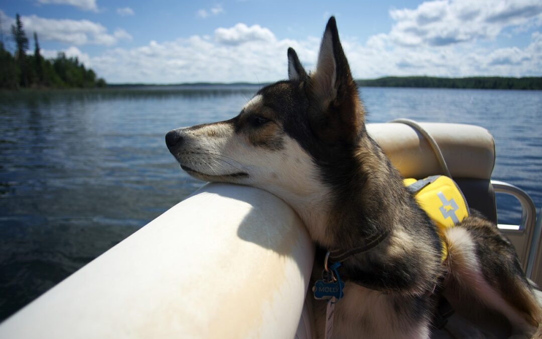Comfort Pontoon Rentals / Get Your Summer Adventure Started On…