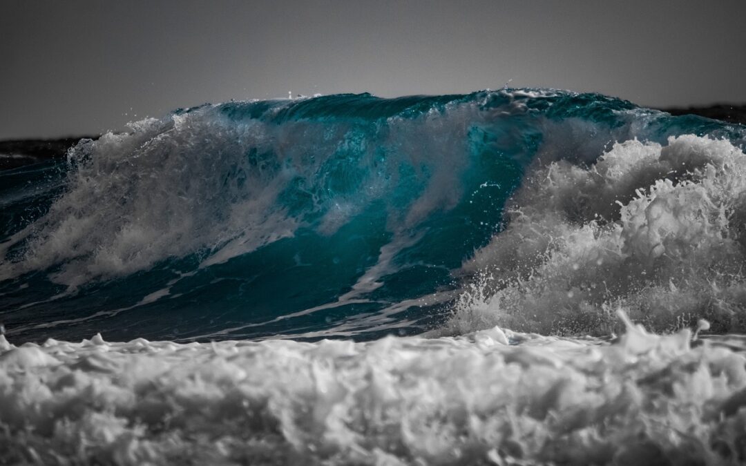 High-performance Surf Boat Rental Near Wahweap Marina ~ Your Guide…
