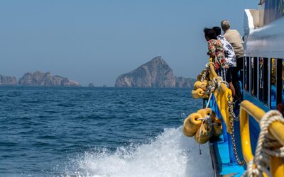 Power Boats For Rent | Hit The Waves At Lake…