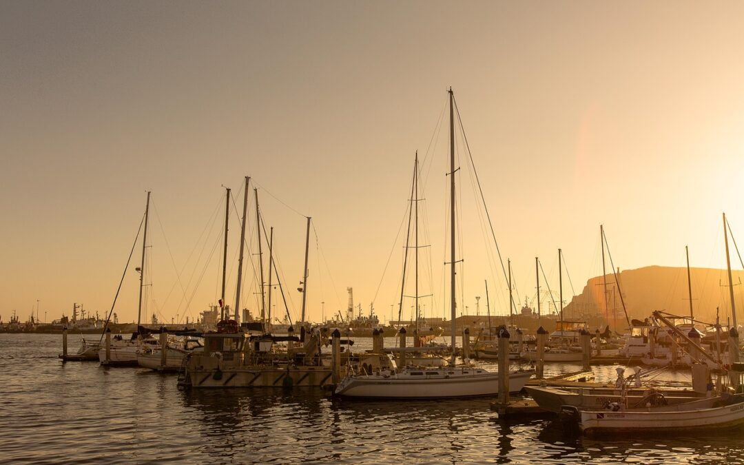 Wahweap Marina Surf Boat Rentals: Get Your Adventure On At…