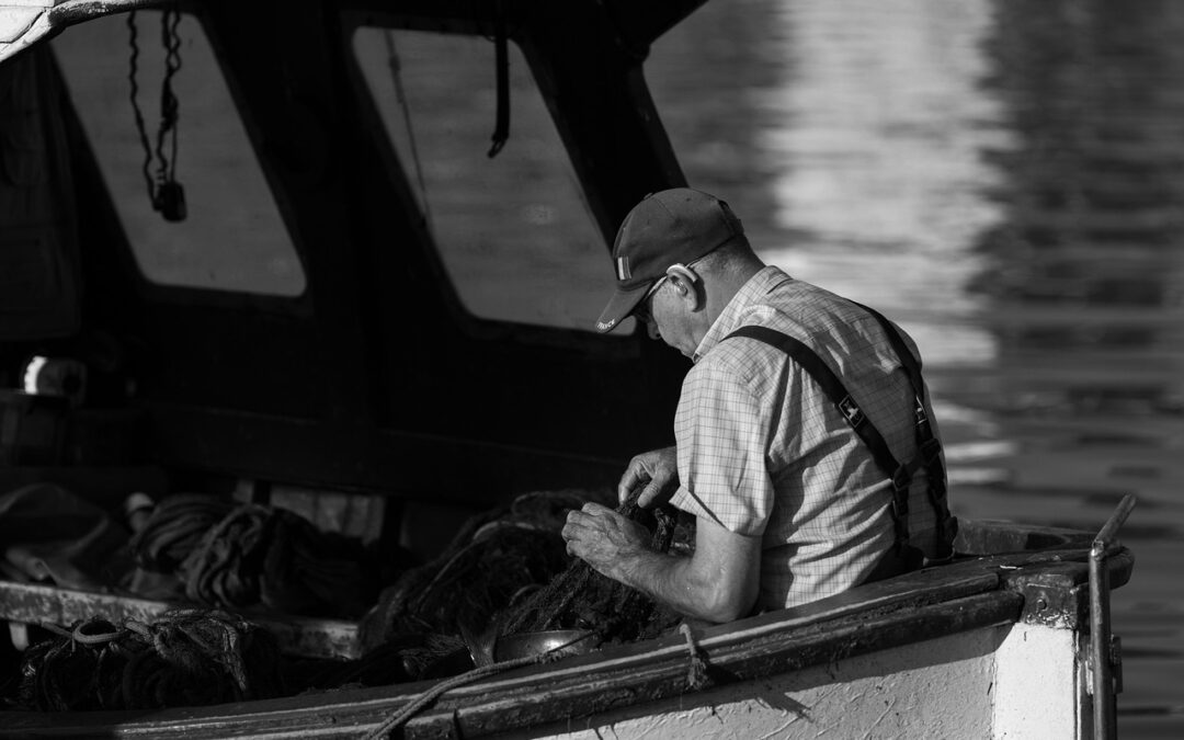 Boat Hire – Hit The Waves At Lake Powell: Your…