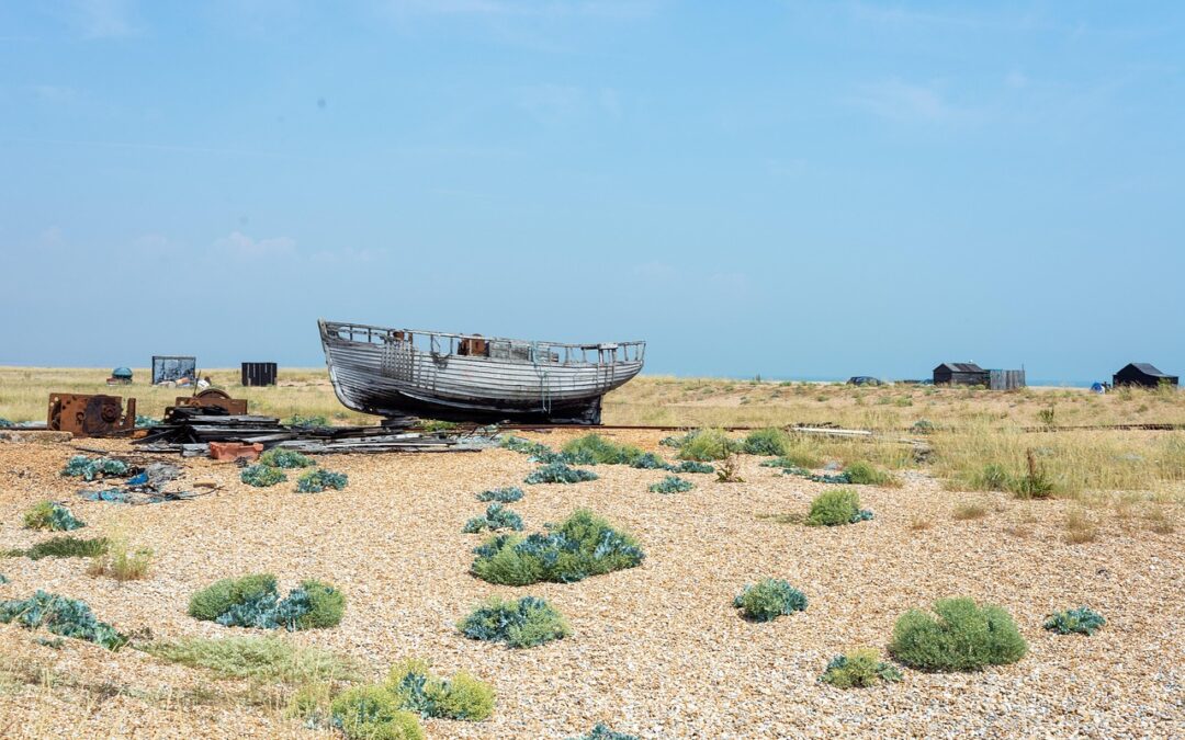 Boat Hire – “`markdown Your Epic Lake Powell Adventure: Boats,…